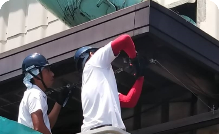 害虫・害鳥獣の習性を熟知したプロ施工